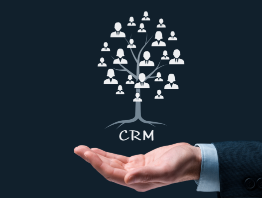 Custom CRM Development in Australia | Basecode