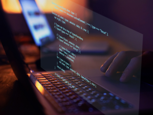 Build vs Buy software